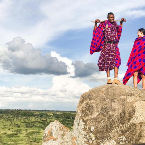 Preface: Beetle. Acacia cicadas. Zebras.