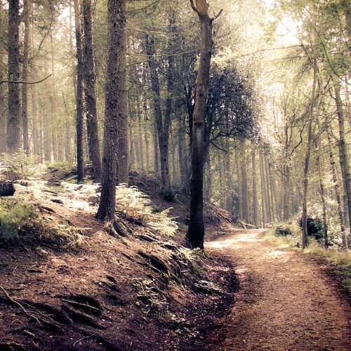 The “Turning Point”