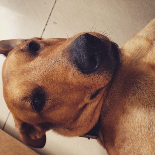 One good thing per day